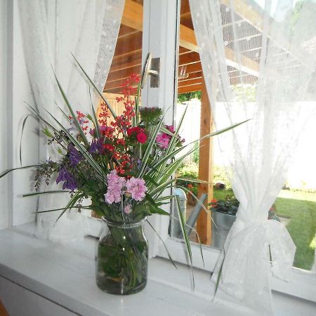 Villa Ani Gorna Kovachitsa Esterno foto